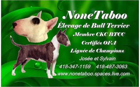 Élevage NoneTaboo Bull Terrier/ Bull Terrier Breeder